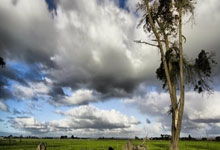 开云体育官方网站-魔术对阵上海队，哈利伯顿持续制造杀伤