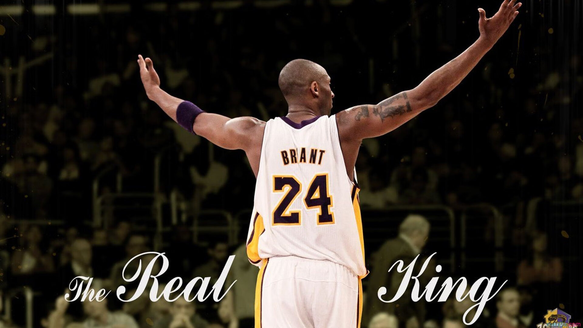 关键夜，德罗赞的节奏，当芝加哥心跳与奥运周期同频